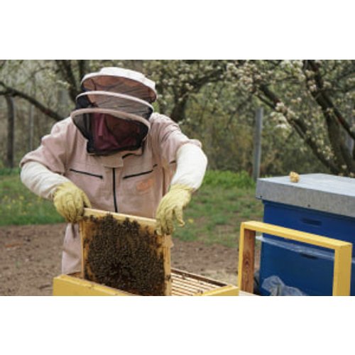 Beekeeping 103: Acquiring Your First Hive and Bees