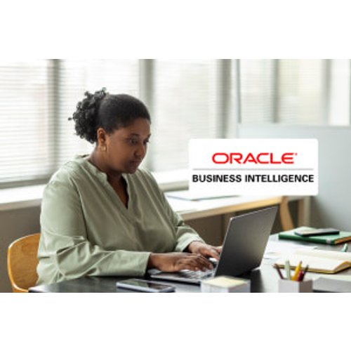 Oracle Business Intelligence - Learning the Basics