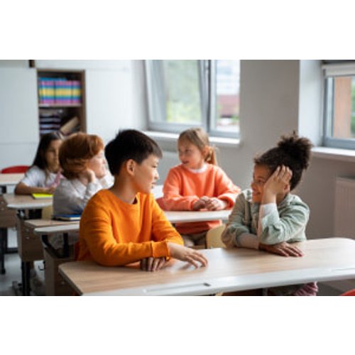 Social and Emotional Learning (SEL) in Schools