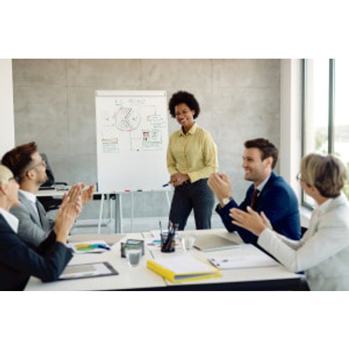Coaching and Mentoring for Business Managers