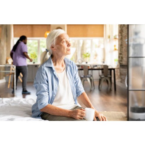 Assisting Older Adults with Autism