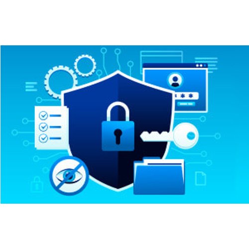 Data Privacy and Protection for Small Businesses