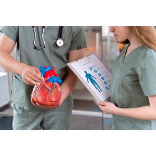 Understanding Common Cardiovascular Diseases