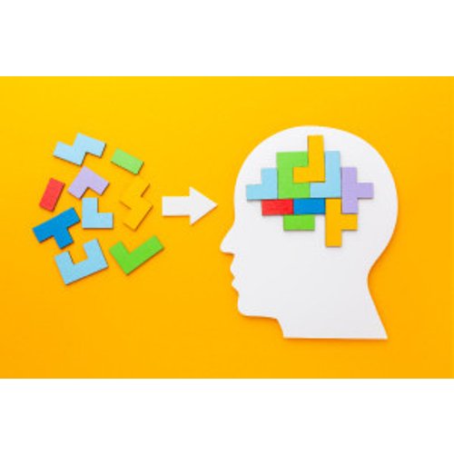 Understanding Cognitive Bias