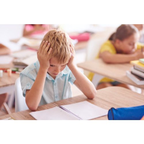Learning Difficulties in the Classroom