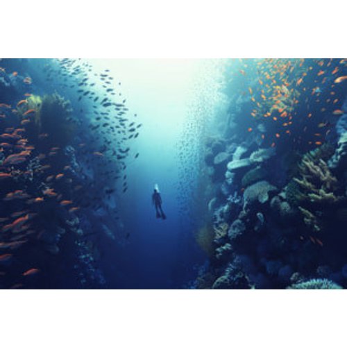 Diploma in Geography: Oceanography
