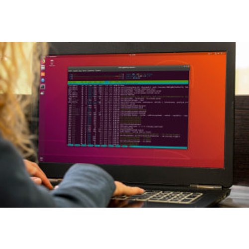Linux Terminal for Automated Processes