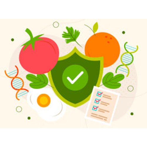 UK Food Hygiene and Safety Standards