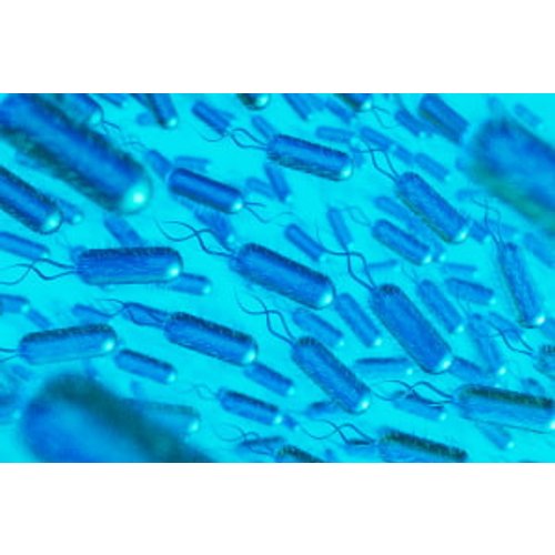 Legionella Awareness