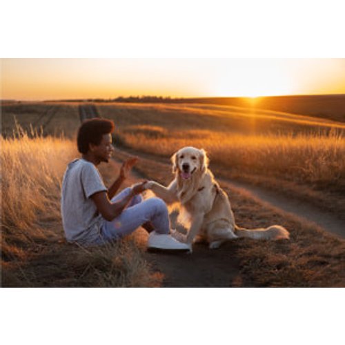 Humans and Animals: Anthropological Perspectives on Relationships