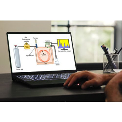 Mastering Gas Chromatography (GC): Operation Troubleshooting & Maintenance