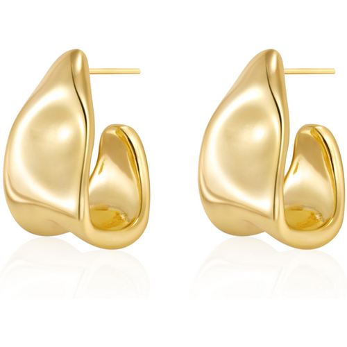 Sterling Silver with Yellow Gold Plated Trendy Fashion Stud Earrings