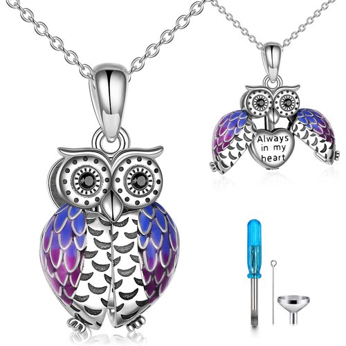 Sterling Silver Circular Shaped Cubic Zirconia Owl Urn Necklace for Ashes with Engraved Word