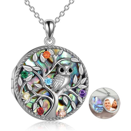 Sterling Silver Round Cut Cubic Zirconia Owl & Tree Of Life & Personalized Photo Locket Necklace with Engraved Word