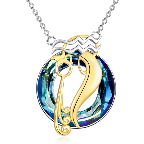 Sterling Silver Two-tone Round Aquarius Crystal Pendant Necklace