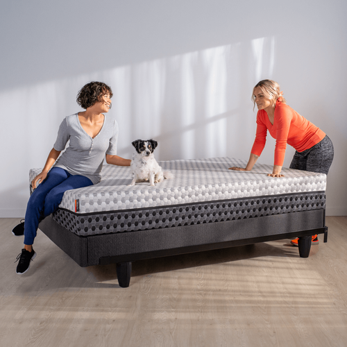 Layla Bed Frame - Cal King Size - Zero Motion, Silent & Easy to Assemble