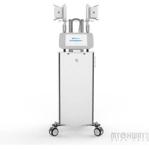Standing Fat Freezing Slimming Beauty Machine