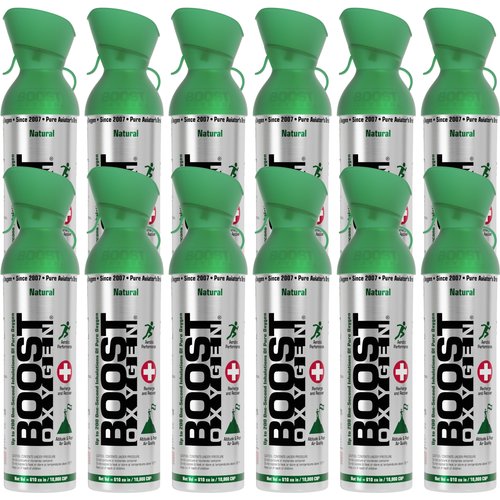 Discounted 12-Pack: Large