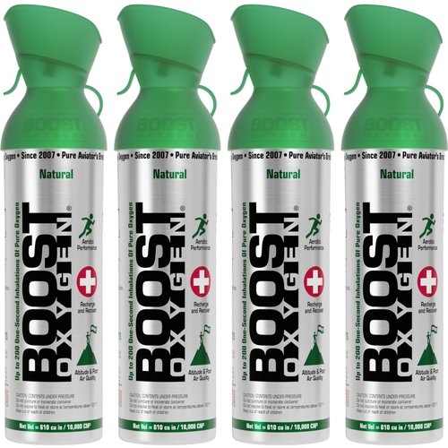 Discounted 4-Pack: Large