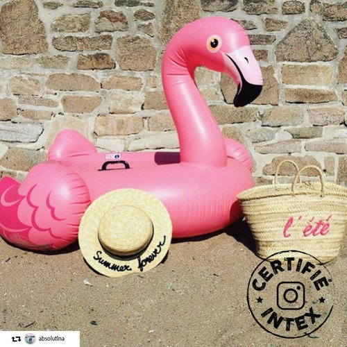 Bestway® Flamant rose 128 x 110 x 87 cm Bouées animaux Bestway® Flamant rose 128 x 110 x 87 cm Bouées animaux