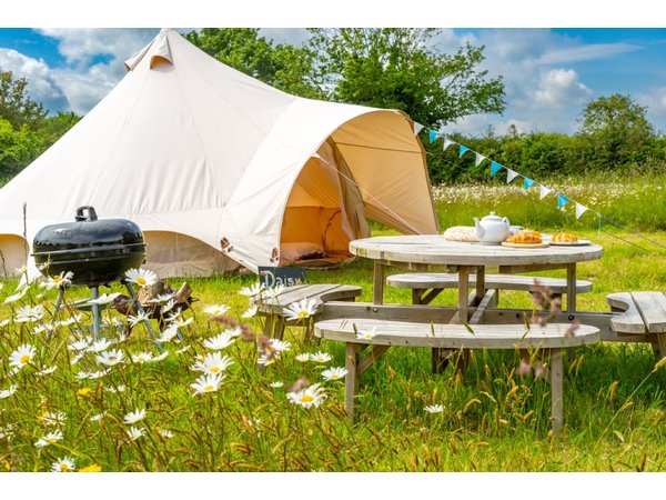 Red Clover at Blanca's Bell Tents