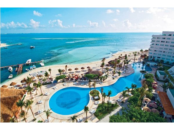Grand Oasis Palm