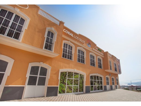Coral Los Silos