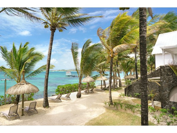 Tropical Attitude - Adults Only