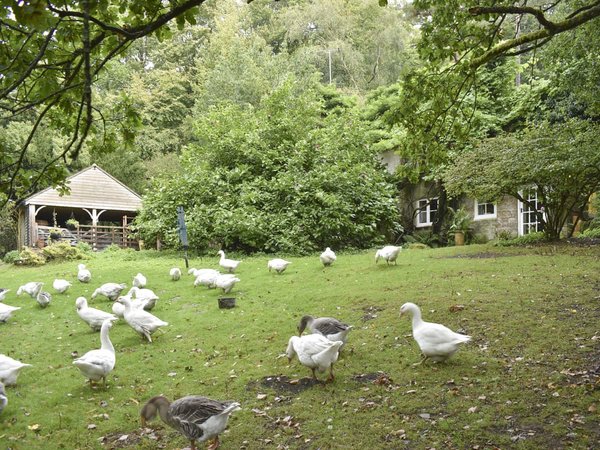 Keeper's Cottage