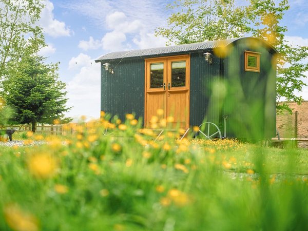 Samlesbury Hall Glamping - The Mutt Hut
