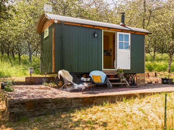 Harry's Cottages - Little Braeburn Shepherd's Hut