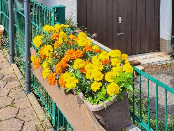 Hotel in Waldshut from £54 per night