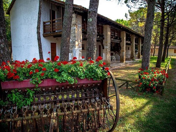 Holiday apartment in Aquileia from £64 per night