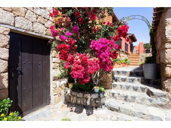 Holiday home in Fasnia from £85 per night