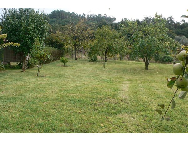 Holiday home in Alto Minho from £160 per night