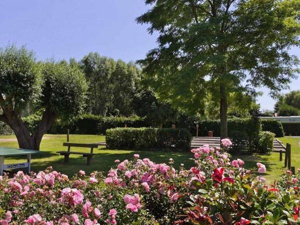 Camping in Warhem from £79 per night
