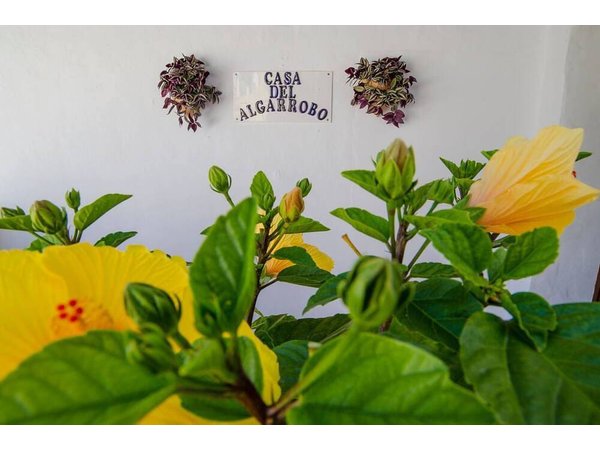 Holiday home in Axarquía from £245 per night