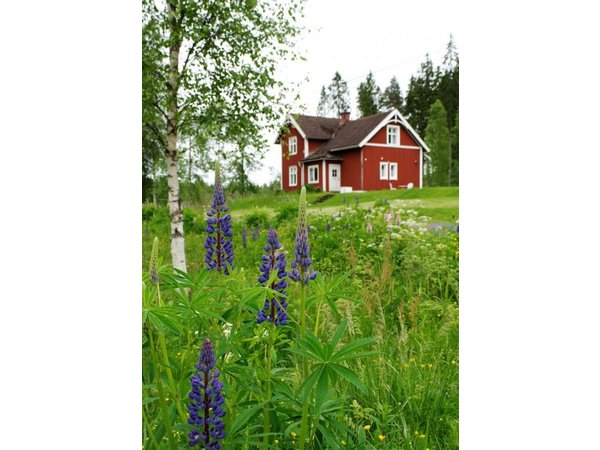 Holiday home in Smaland from £47 per night