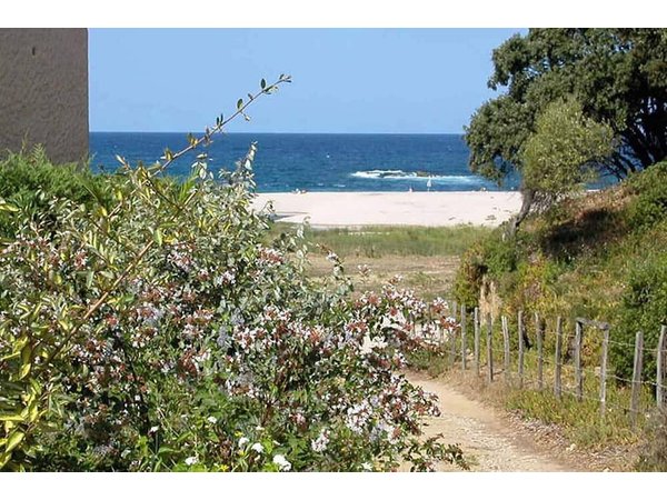 Holiday apartment in Calcatoggio from £62 per night