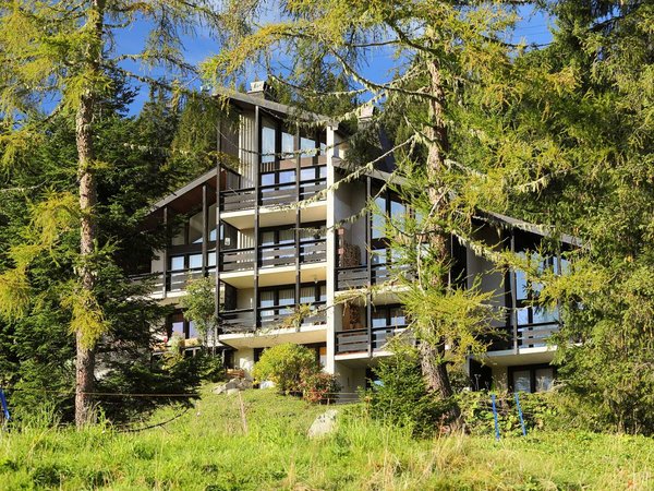 Holiday apartment in Gryon from £52 per night