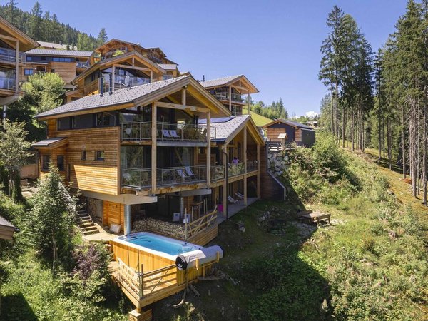 Holiday home in Ski Amadé from £685 per night