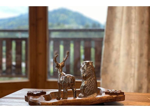 Holiday apartment in Montriond from £163 per night