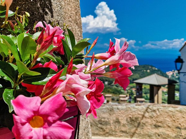 Holiday apartment in Elba from £35 per night