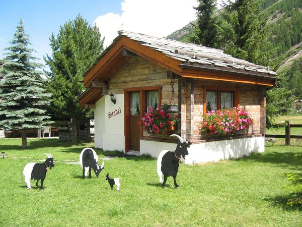 Holiday home in Saas-Grund from £75 per night