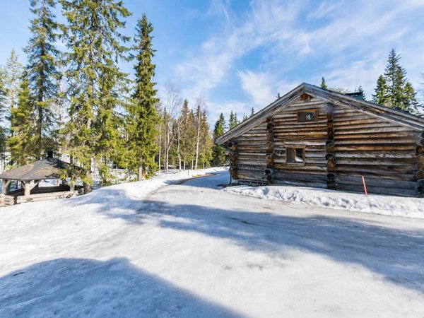 Holiday home in Ruka from £123 per night