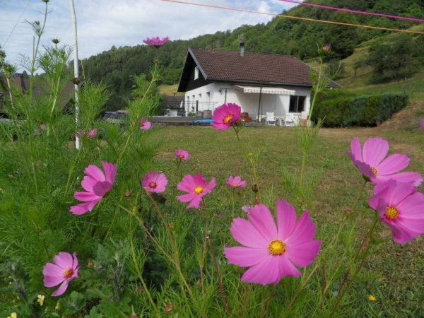 Holiday home in Vosges from £55 per night