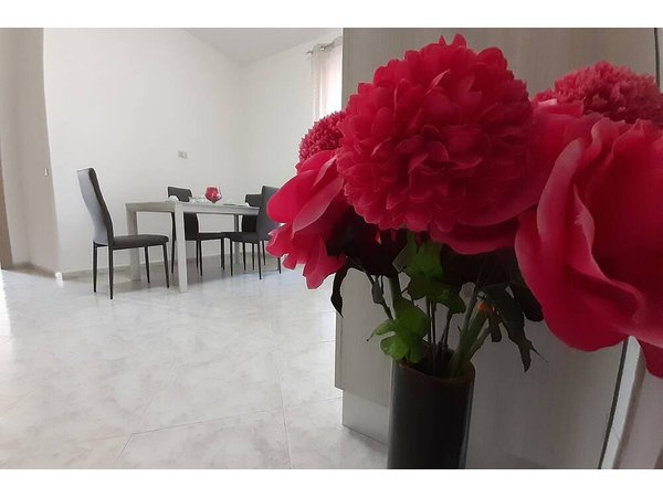 Holiday apartment in Naples Province from £90 per night