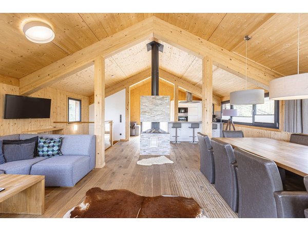 Holiday home in Ski Amadé from £454 per night