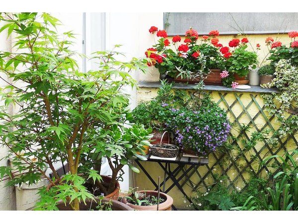 Holiday apartment in Paris from £89 per night