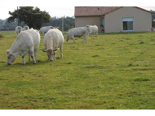 Hotel in Loire Valley from £76 per night